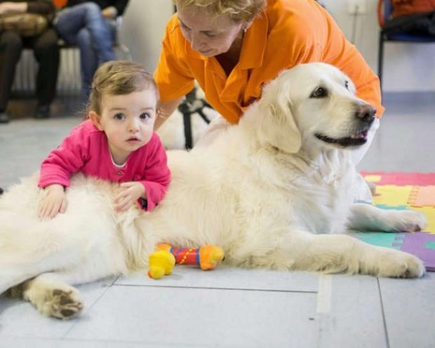 Sanità sanit-and-agrave-pet-therapy-all-asl-di-olbia-con-cani-in-corsia