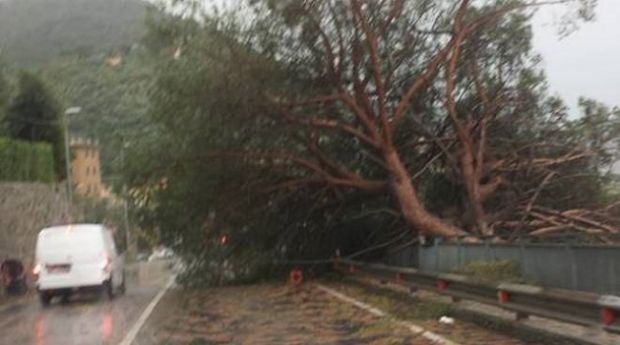 maltempo-dopo-nubifragi-conta-dei-danni-in-sardegna