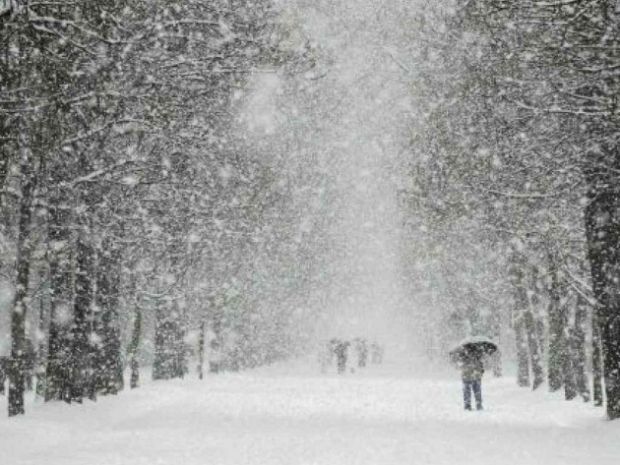 Maltempo maltempo-prima-neve-nel-nuorese