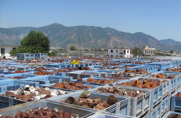 ambiente-forestale-sequestra-deposito-rifiuti-speciali