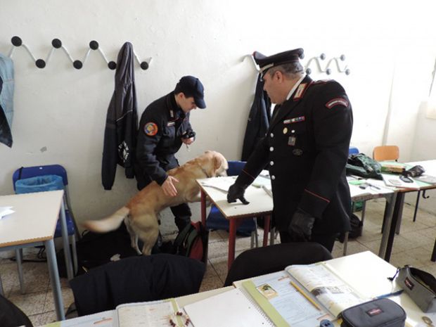 Cani antidroga e carabinieri in scuola a Iglesias cani-antidroga-e-carabinieri-in-scuola-a-iglesias