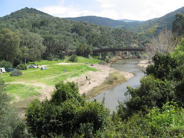 Grandinata su carciofaie grandinata-su-carciofaie-produzione-coghinas-compromessa