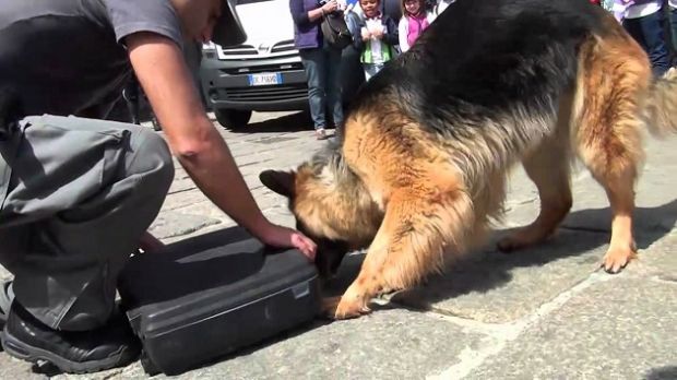 sbarca-dalla-nave-con-cocaina-in-auto-arrestato-un-48enne