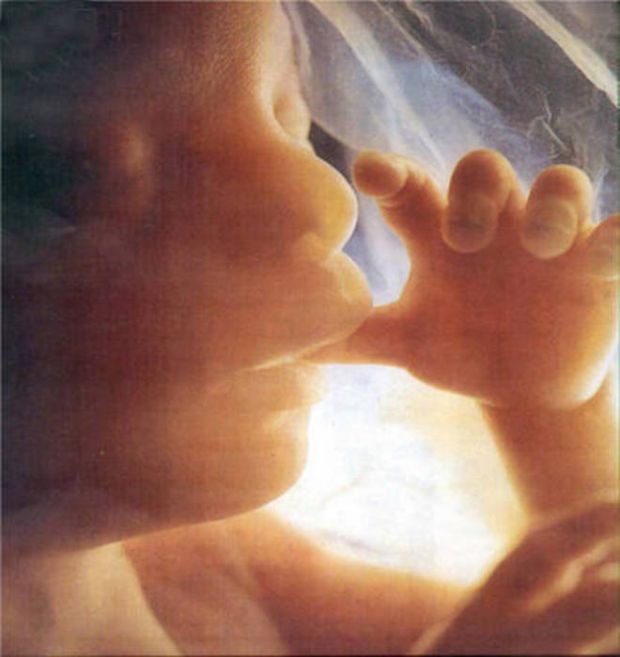 il-feto-in-3d-con-la-realt-and-agrave-virtuale