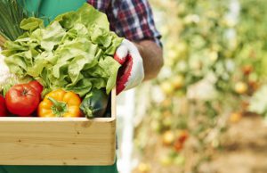 agroalimentare-crescono-imprese-e-si-rafforza-export