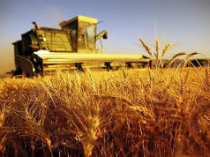 agricoltura-nasce-fondo-da-2-5-milioni-per-accesso-al-credito