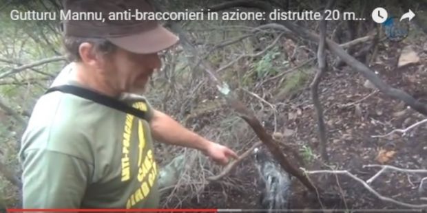 capoterra-le-trappole-dei-bracconieri-trovati-a-due-passi-dalle-case