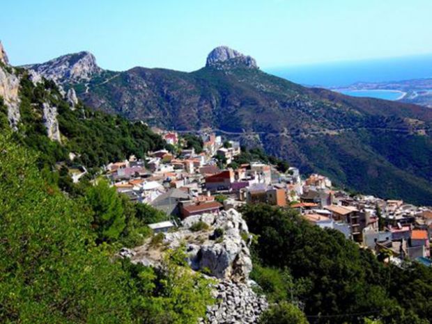 peste-suina-baunei-svincola-37-lotti-da-uso-civico