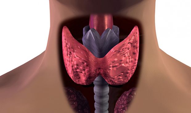 sanit-and-agrave-patologie-tiroide-a-cagliari-congresso-nazionale