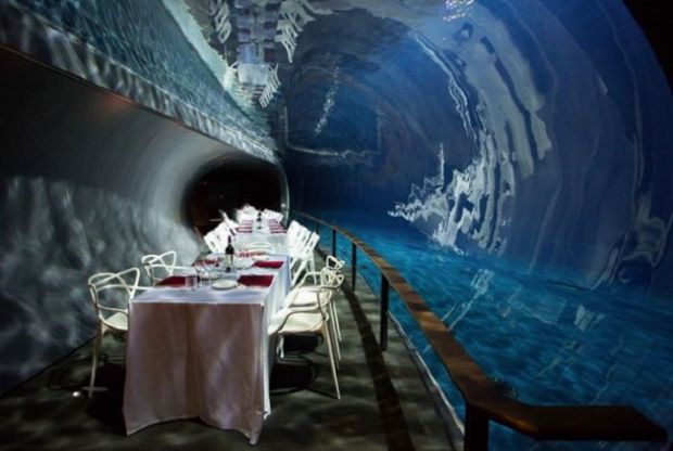 capodanno-a-genova-cena-all-acquario-teatri-e-concerti