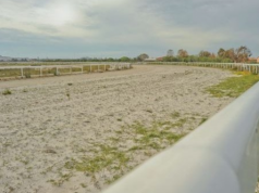 Villacidro, grande successo all’ippodromo per il campionato di corse al galoppo cagliari-bando-per-affidamento-campi-e-pista-ippodromo