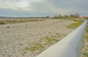 Villacidro, grande successo all’ippodromo per il campionato di corse al galoppo cagliari-bando-per-affidamento-campi-e-pista-ippodromo