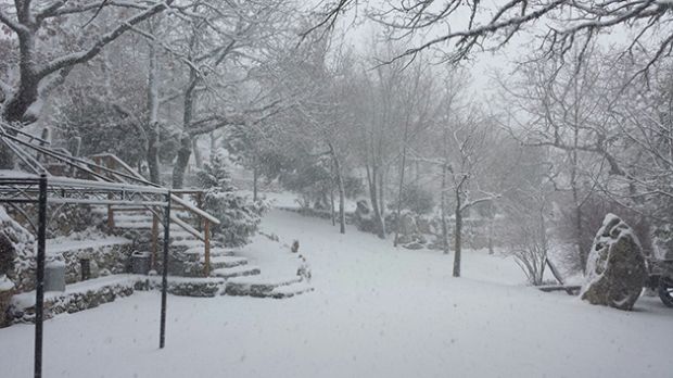 Maltempo: è tornata la neve sul Gennargentu maltempo-and-egrave-tornata-la-neve-sul-gennargentu