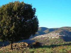 seulo-abbanoa-nega-allaccio-la-denuncia-di-un-azienda-and-ldquo-senza-acqua-condannati-al-fallimento-and-quot