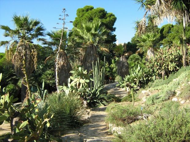 orto-botanico-cagliari-riapre-dopo-maltempo-novit-and-agrave-sconti