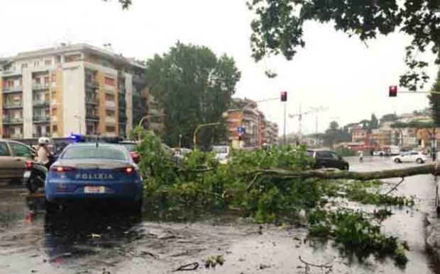 maltempo-pioggia-e-alberi-caduti-estesa-allerta-gialla-in-sardegna