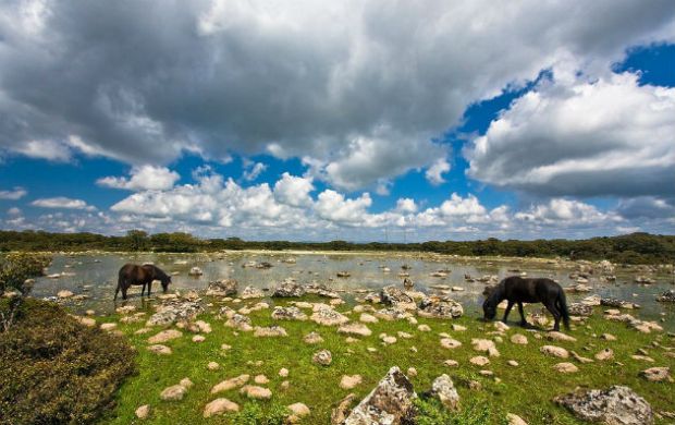 San Valentino sulla Giara e al Museo del cavallino san-valentino-sulla-giara-e-al-museo-del-cavallino