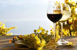 vino-la-spagna-vince-v-edizione-and-lsquo-grenaches-du-monde-and-rsquo-con-55-medaglie-d-oro