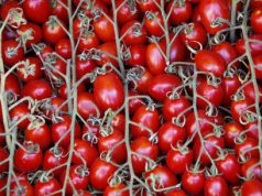 inflazione-febbraio-1-5-top-da-4-anni