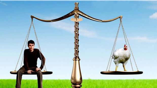 a-selargius-serata-su-veganismo-e-diritti-animali