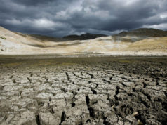siccita-vargiu-cagliari-maglia-nera-reti-colabrodo