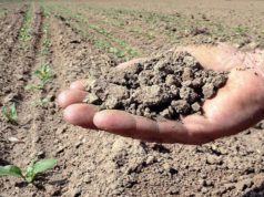 siccita-coldiretti-prefetto-sassari-atti-straordinari