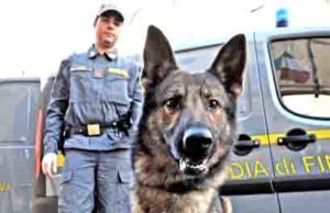 Blitz guardia di finanza al porto di Cagliari: sequestrati capi d’abbigliamento e droga