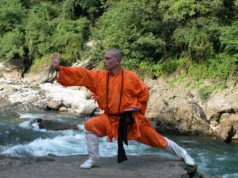 Arti marziali cinesi per lunga vita in salute