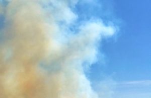 Fiamme divampano tra Esterzili e Sadali – LE IMMAGINI