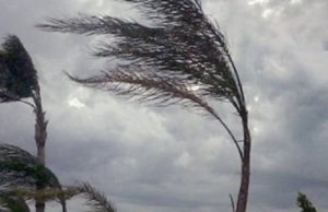 Maltempo Sardegna, scatta l’allerta arancione. La protezione civile: “Attesi piogge, vento e temporali”