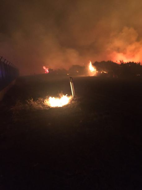 Olbia incendio notte macchia mediterranea