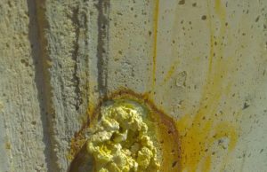 Sostanze velenose e metalli pesanti traboccano dalle pareti lungo la 131 – LE IMMAGINI