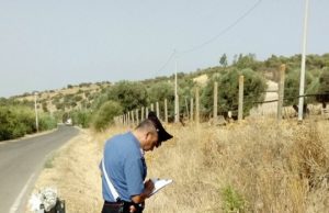 Santadi, nipote investe zia 73enne e fugge: indagato – LE IMMAGINI