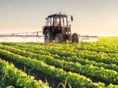 Agricoltura, Coldiretti Sardegna: “Pagamenti sempre in ritardo”