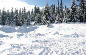 Ciclone porta neve e freddo sulla Sardegna, le immagini dal satellite