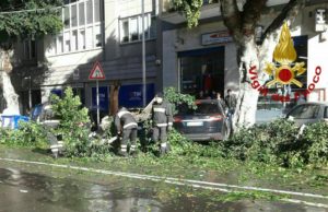 Vento forte, cade albero in viale Trieste