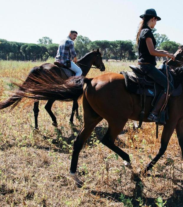 270d13a367c17a7be32ac97e2ac2cbc9