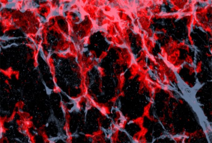 76c08e0b6417185281d663e1266f6f82