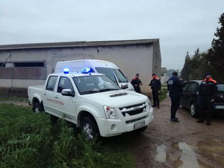 Fabbrica illegale produzione cetrioli di mare