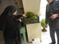 Oristano, sequestrati 15 kg di asparagi a stranieri