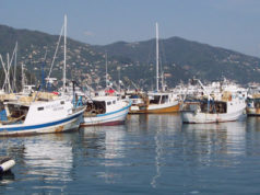 Dopo 50 anni al porto di Oristano arriva la ferrovia