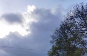 “Mi hanno rapito”. 43enne simula sequestro di persona dopo incidente in auto: era ubriaco