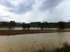 Maltempo, chiuse le scuole nell’oristanese