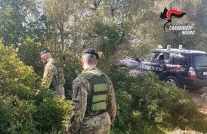 Talana, trovato fucile nascosto in campagna: analisi dei Ris