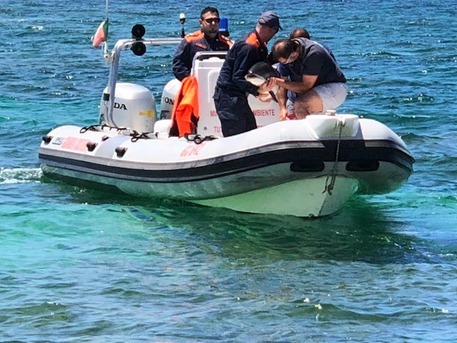 Cucciolo di delfino salvato dalla Guardia Costiera ad Oristano