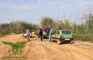 Santa Gilla: sequestrate 150kg di arselle contaminate