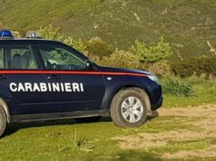 Allevatore muore travolto dalla sua auto