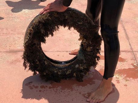 Conclusa ad Asinara l'iniziativa 'PFU Zero sulle coste italiane'