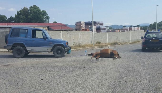 5b01b6f1-f059-44eb-9f62-f8dfc693133a