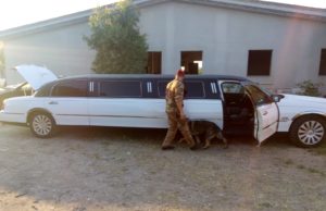 Maxi operazione antidroga in corso in tutta la Sardegna: 14 arresti